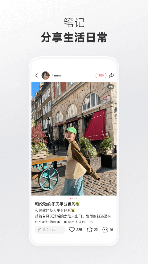 雪地中追逐光斑的萨摩耶犬壁纸