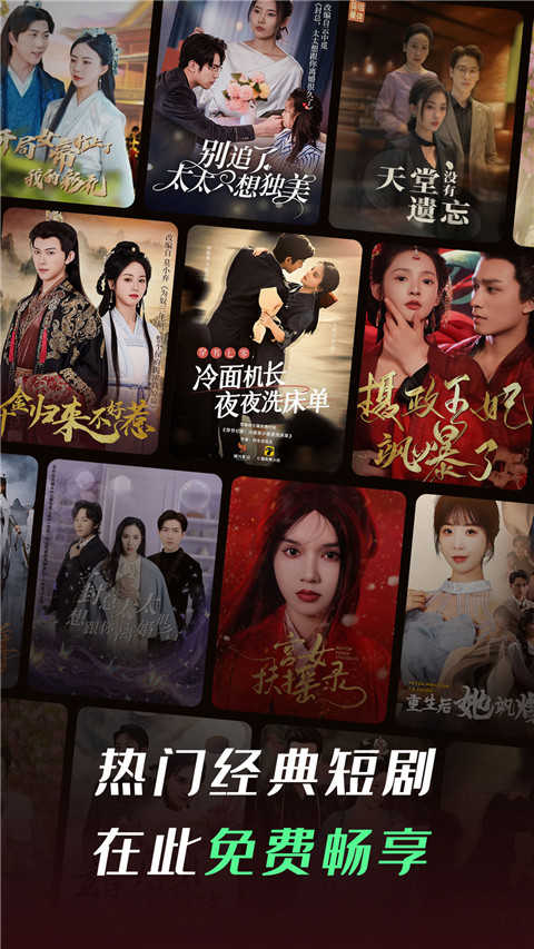 柴犬在沙漠中追逐悬浮的绿洲幻影壁纸